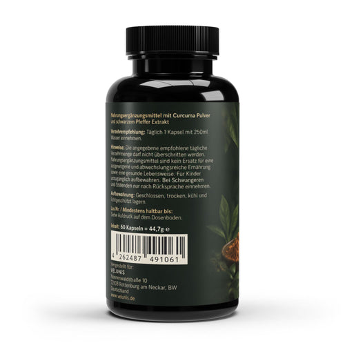 Curcuma + Piperin - 60 Kapseln