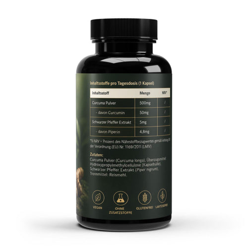 Curcuma + Piperin - 60 Kapseln